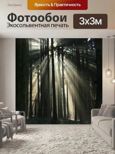 Фотообои Лес