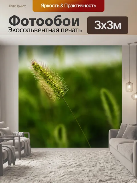 Фотообои Щетинник viridis
