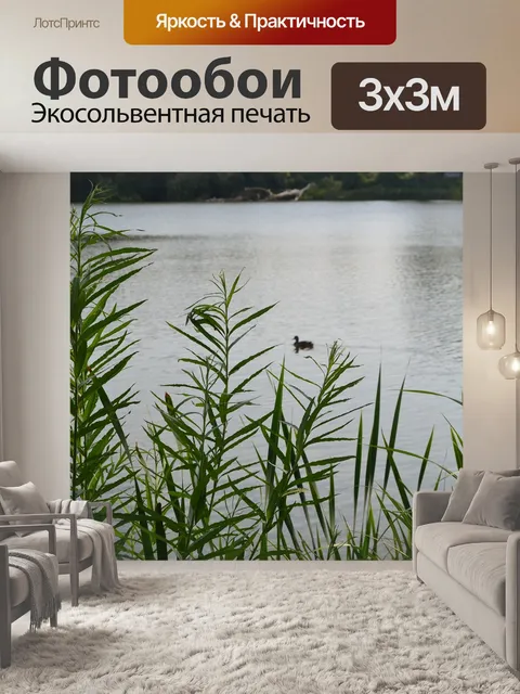 Фотообои Утка