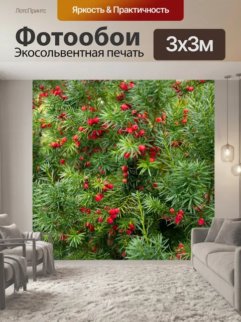 Фотообои осень