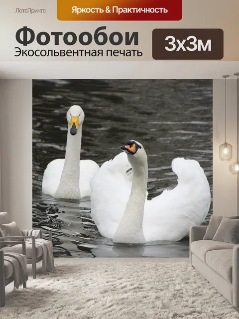 Фотообои Лебеди