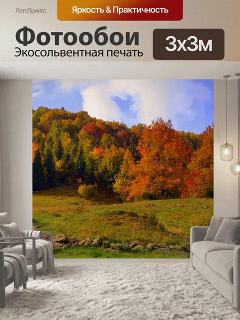 Фотообои Лес