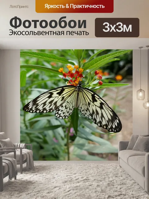 Фотообои Бабочка