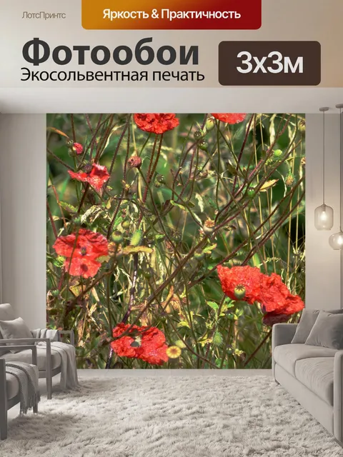 Фотообои Цветы