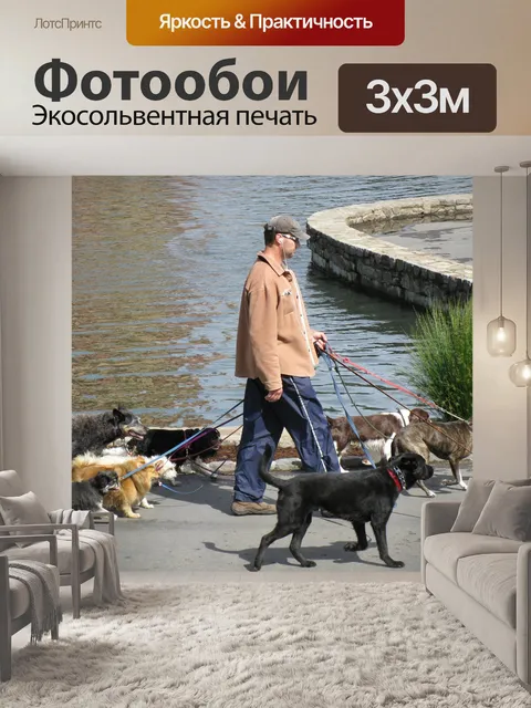 Фотообои Собаки