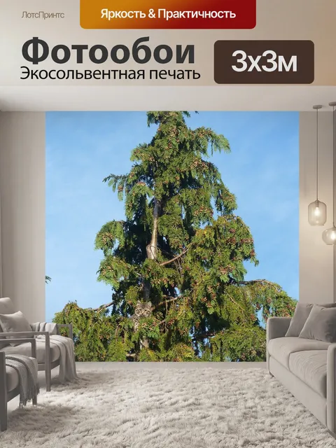 Фотообои Кошка