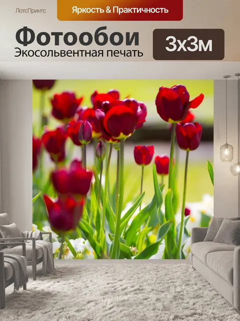 Фотообои Цветы