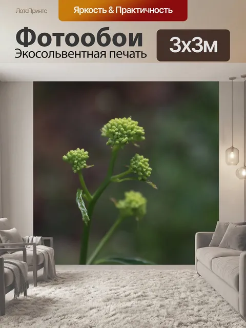 Фотообои Цветы