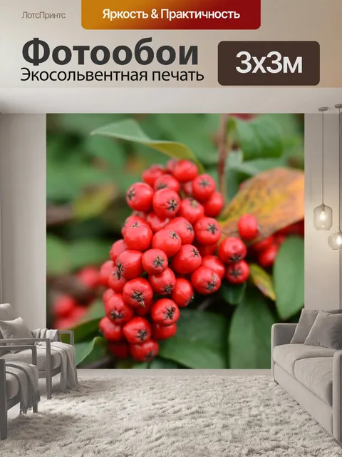 Фотообои Ягоды