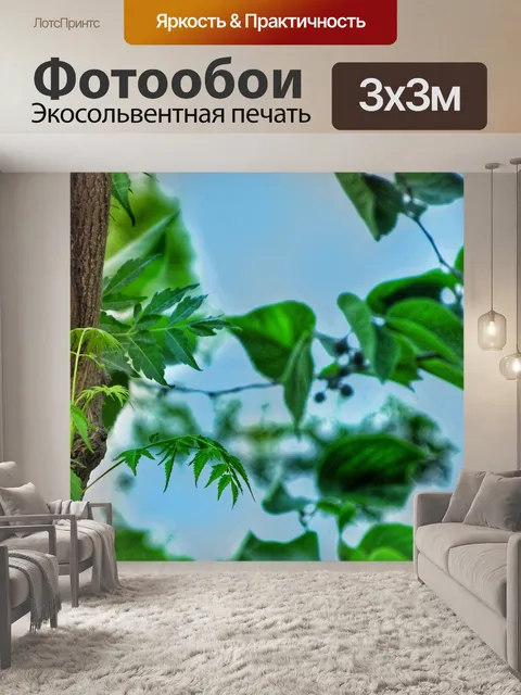 Фотообои Природа