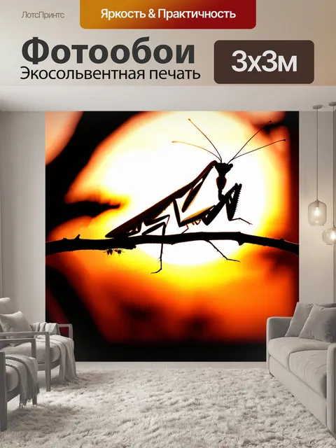 Фотообои силуэт богомола на фоне заката