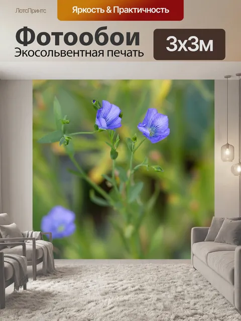 Фотообои Цветы