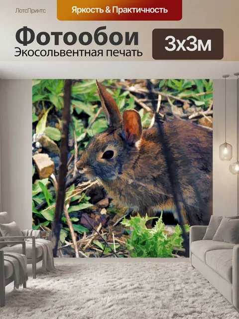 Фотообои Кролик