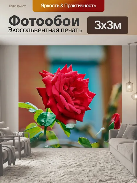 Фотообои Роза