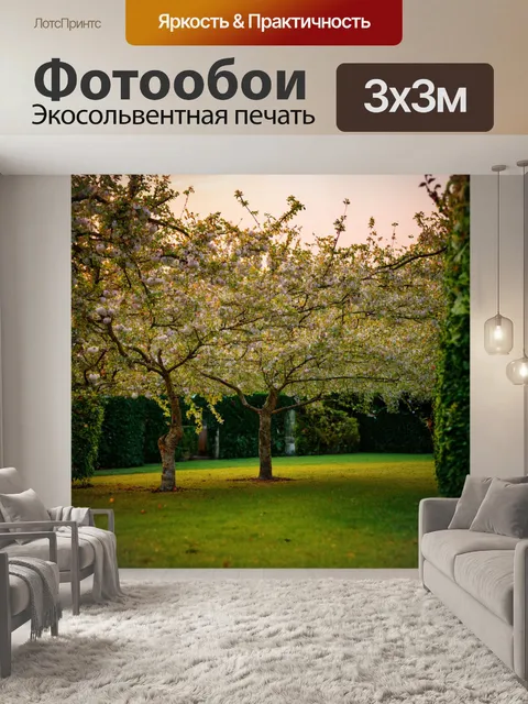 Фотообои рассвет в старинном саду, где плодовые деревья цветут