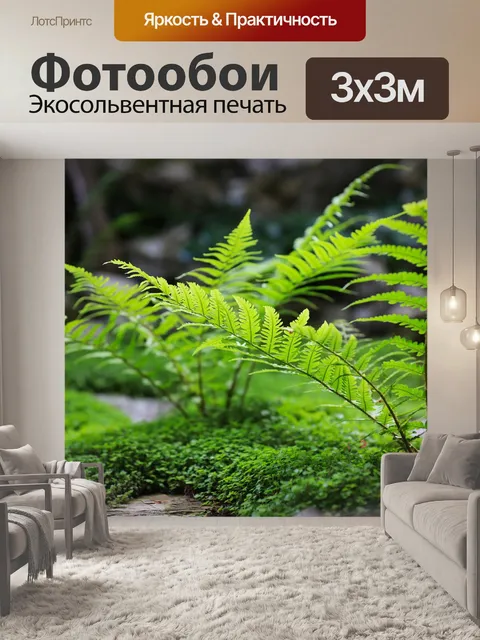 Фотообои Папоротник