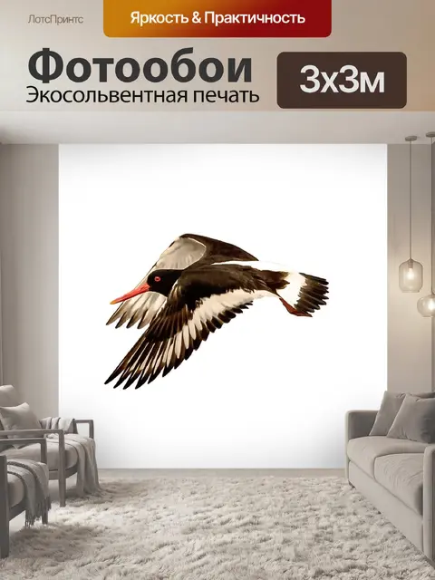Фотообои Птица