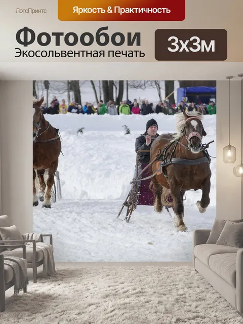 Фотообои Лошадь
