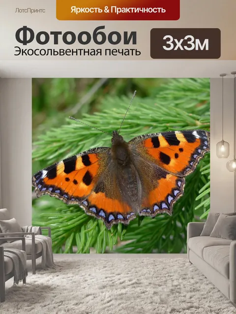 Фотообои Бабочка