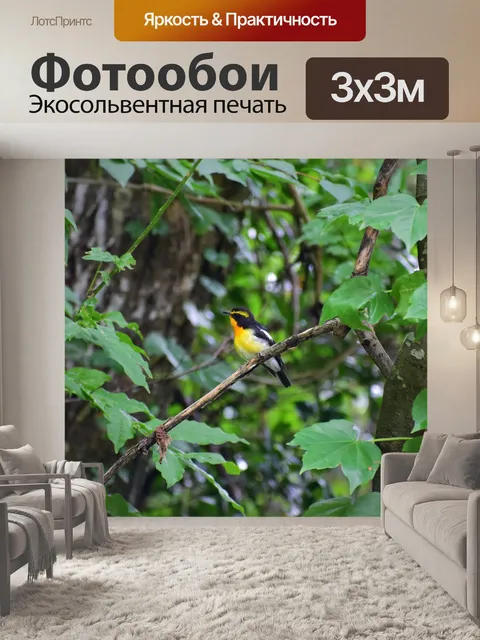 Фотообои Животное