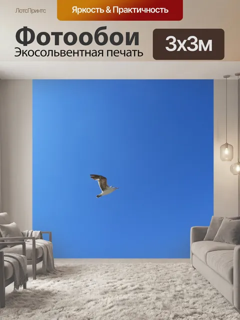 Фотообои Птица
