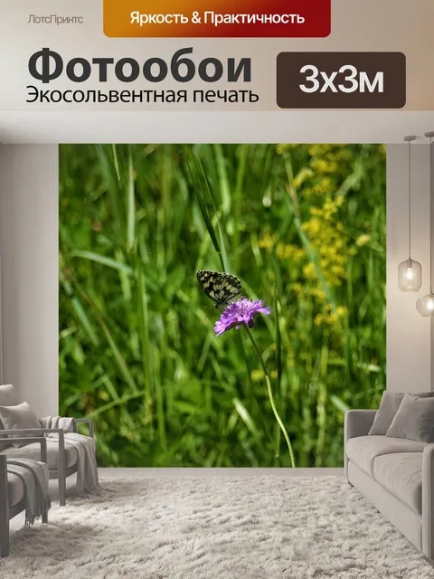 Фотообои Бабочка