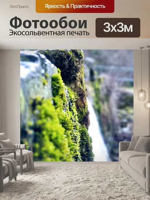 Фотообои Водопады ежик