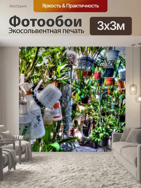 Фотообои Мистические бутылки