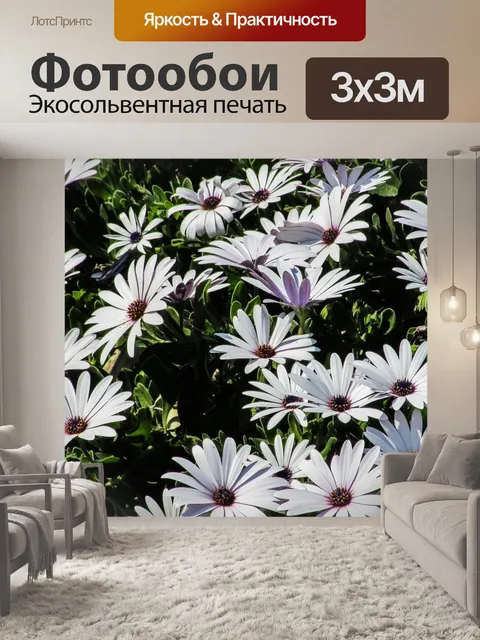 Фотообои Цветы