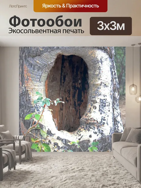 Фотообои большая полая в стволе дерева