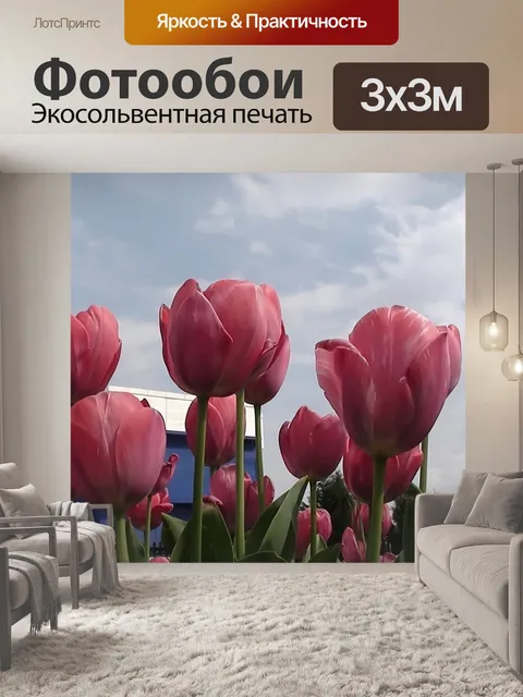 Фотообои Тюльпан