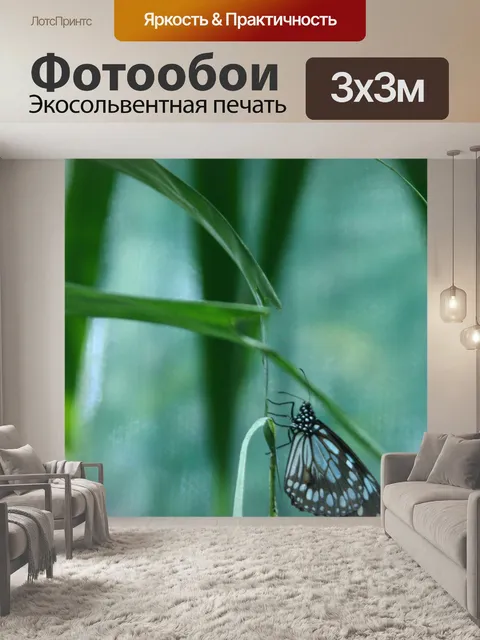 Фотообои Бабочка