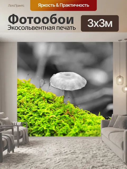Фотообои Мох