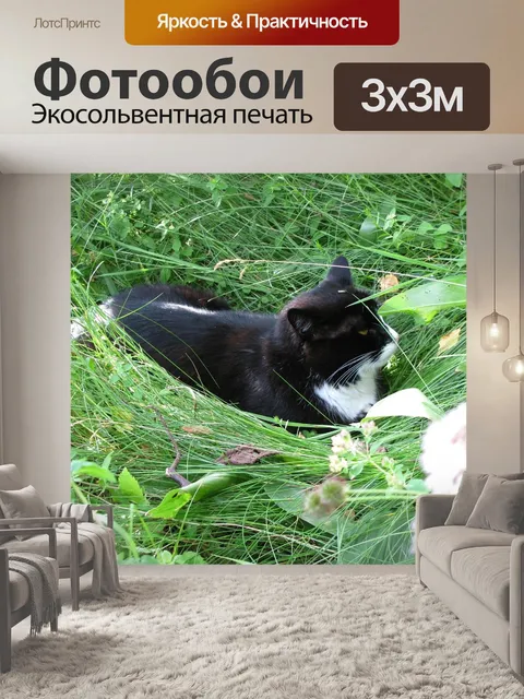 Фотообои Лето