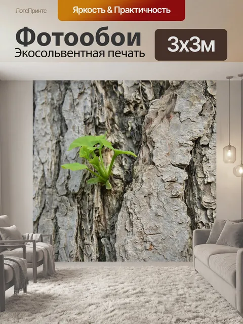 Фотообои Гинкго