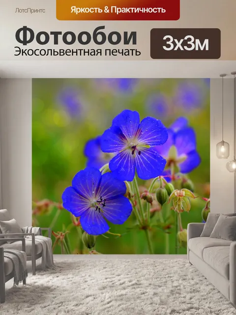 Фотообои Блоссом цветник природа
