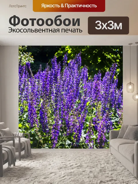 Фотообои Цветы
