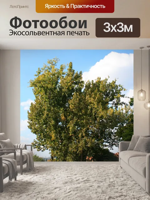Фотообои деревья и небо