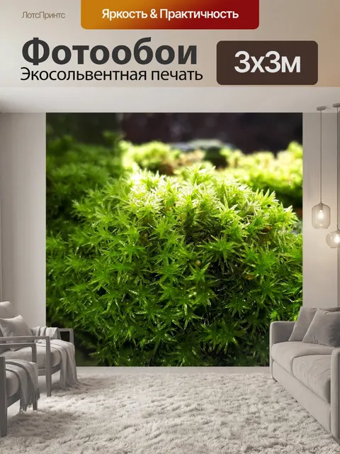 Фотообои Мох