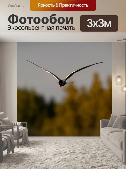 Фотообои Полярная крачка