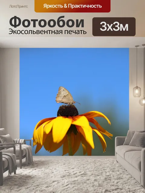 Фотообои Бабочка