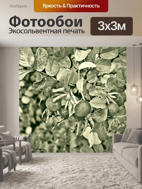 Фотообои Шиповник