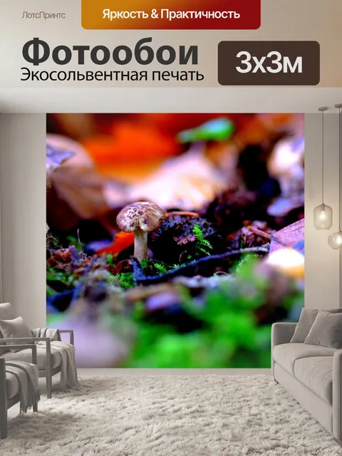 Фотообои Гриб