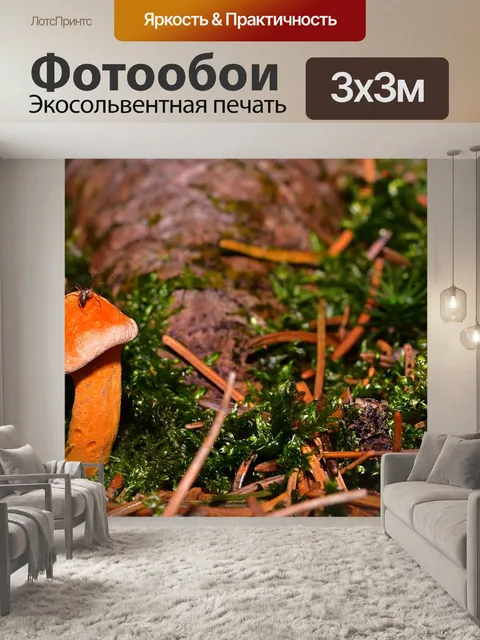 Фотообои Лес