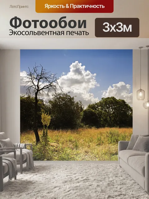 Фотообои Фон