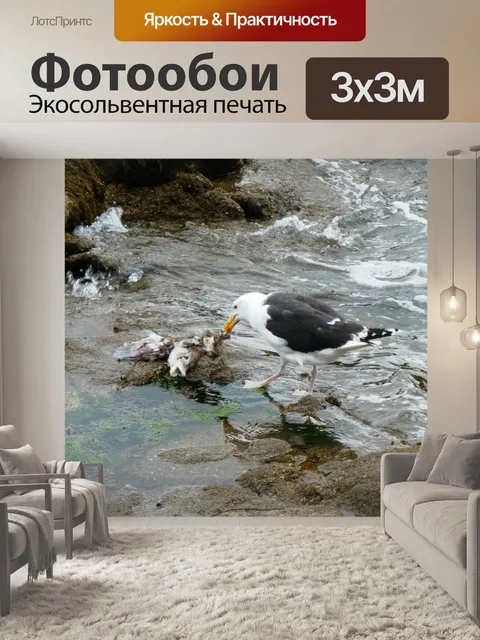 Фотообои Глубоководная чайка