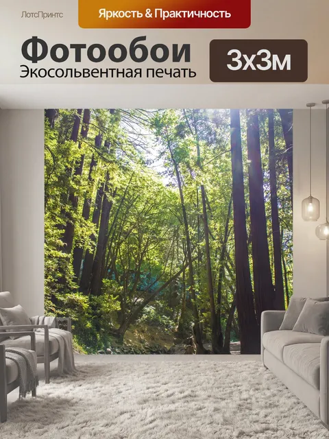 Фотообои Лес