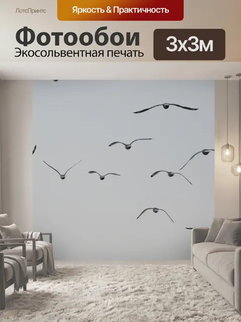 Фотообои Чайки
