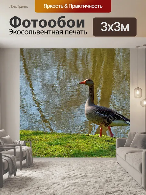 Фотообои Гусь