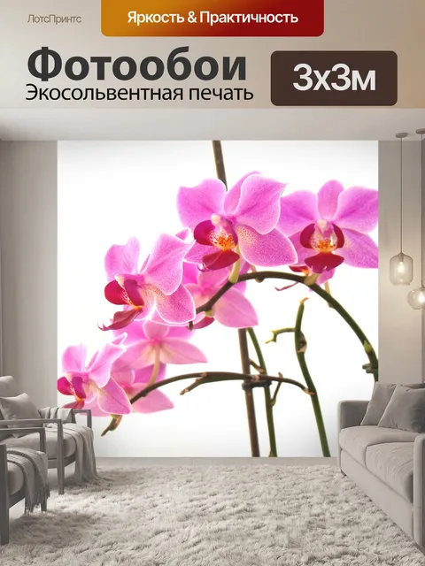 Фотообои Цветок
